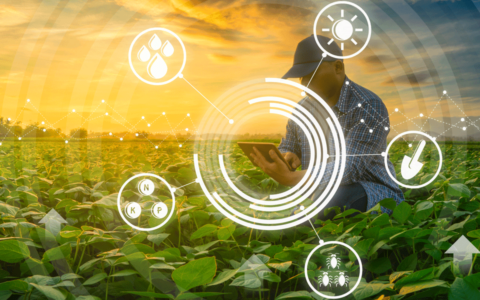 yield forecast automation AI