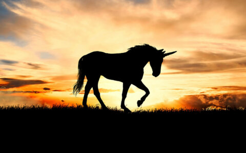 Machine learning gives a FinTech