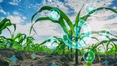 Revolutionizing Agriculture Planning